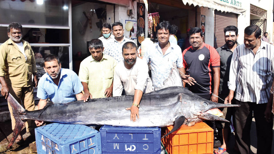 280-kg swordfish attracts crowd at Devaraja Market