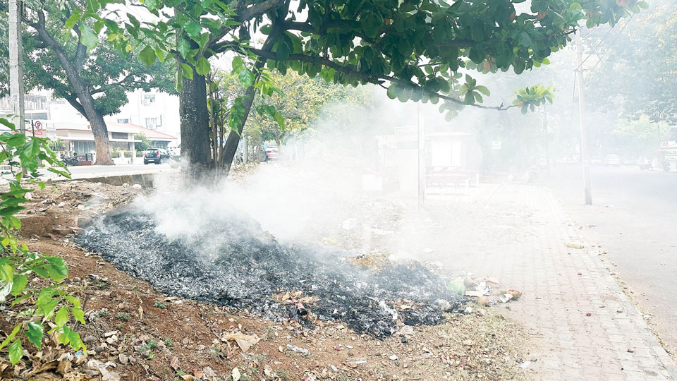 Stop garbage burning menace near RTO Circle