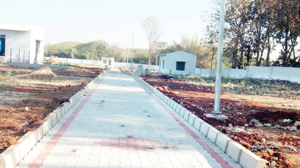 Rayanakere stray dog rehab centre nearing completion