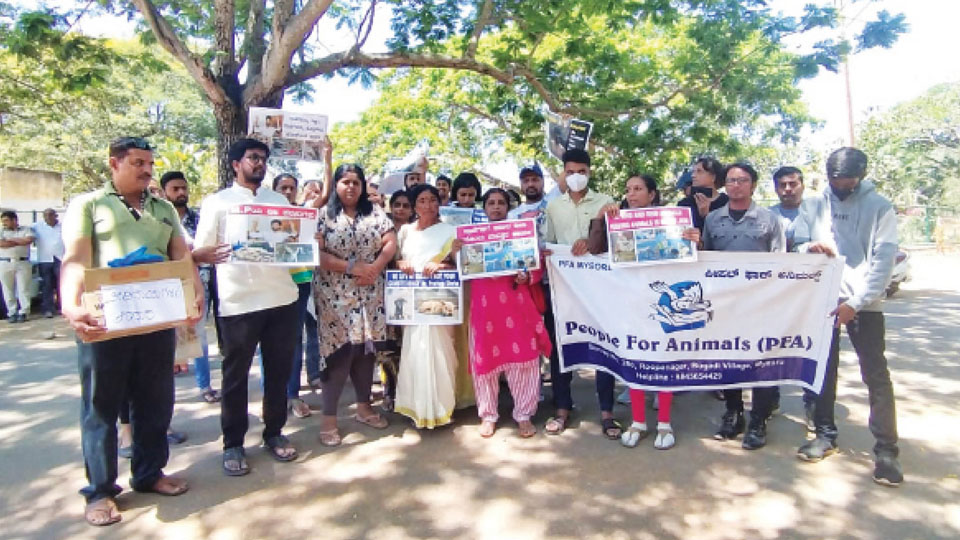 Animal lovers protest against MP