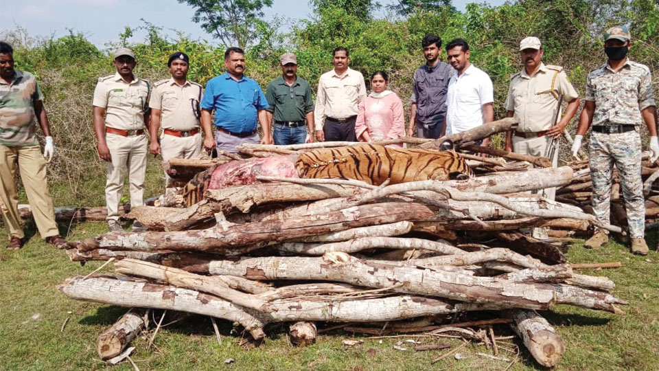 Tiger found dead at Nagarahole