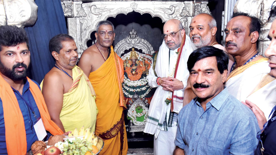 Before hitting campaign trail at Gundlupet: Amit Shah offers prayers at Chamundi Hill temple