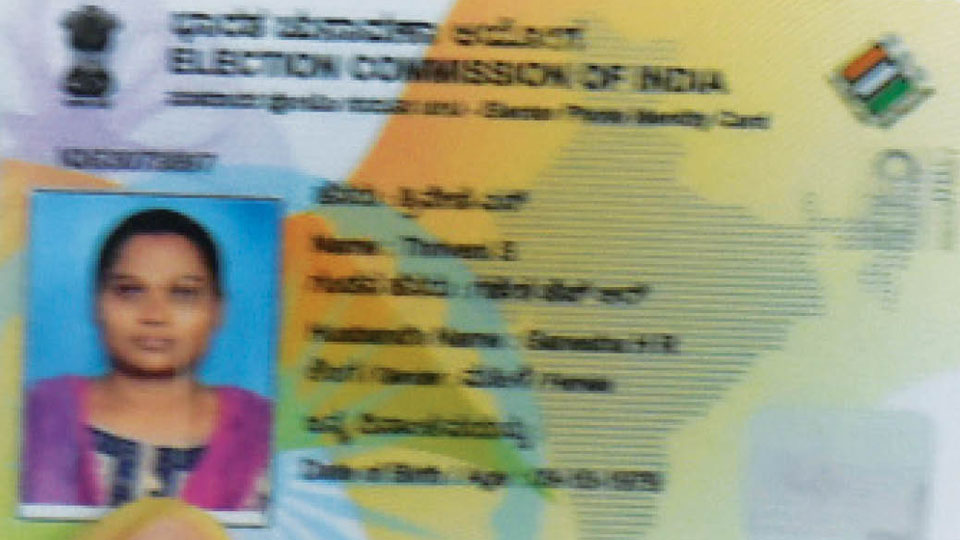 Voter ID cards get a colourful makeover