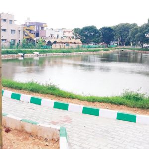 JK Tyre gives a new lease of life to Alanahalli Lake