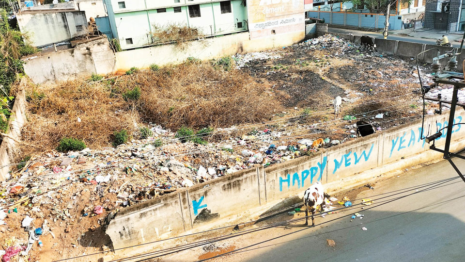 Vacant plot turns unpleasant dump yard in Paduvarahalli