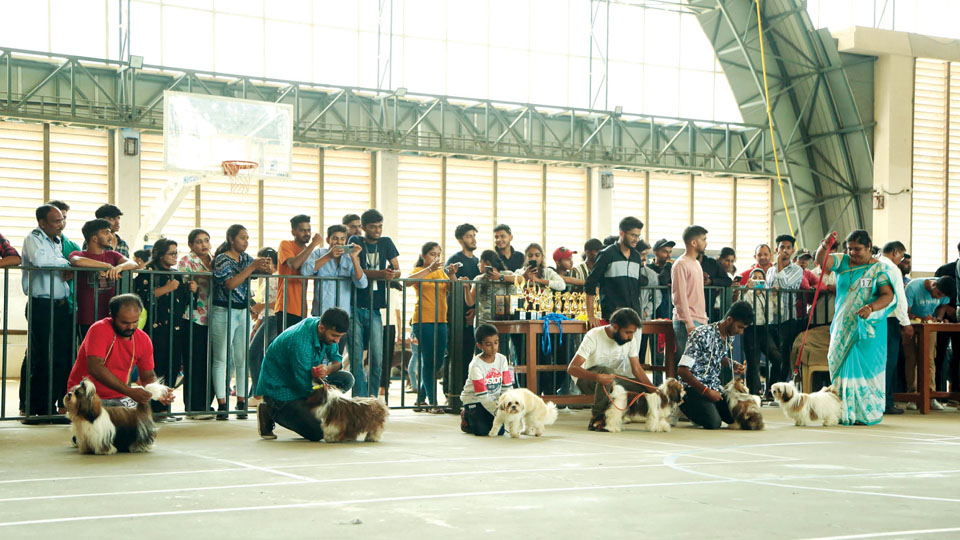 75 pet dogs steal the show at NIE College fest