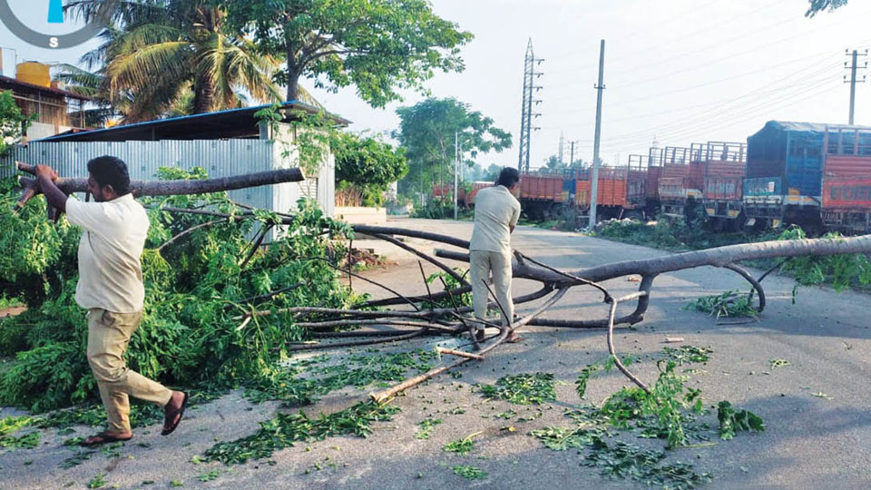 City Corporation ready to tackle monsoon-related issues