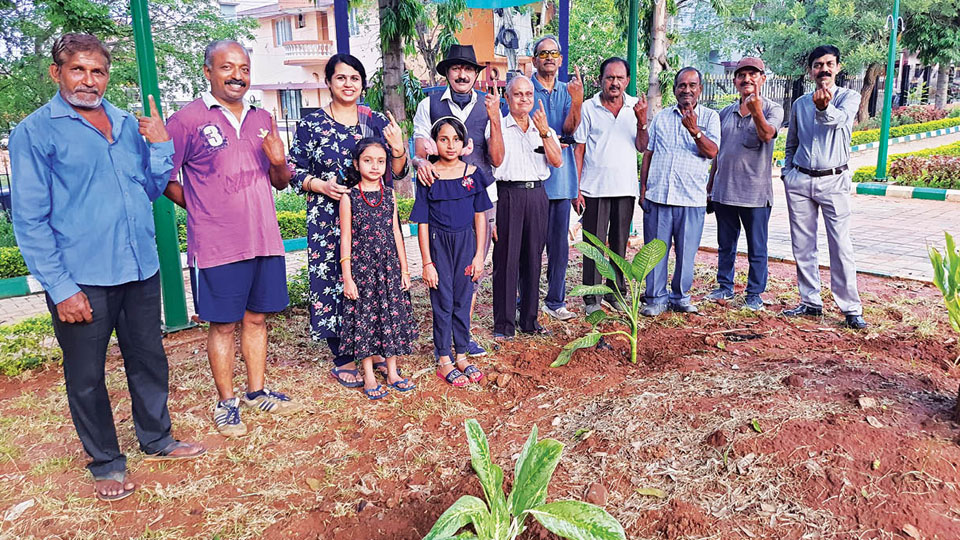 After voting, saplings planted