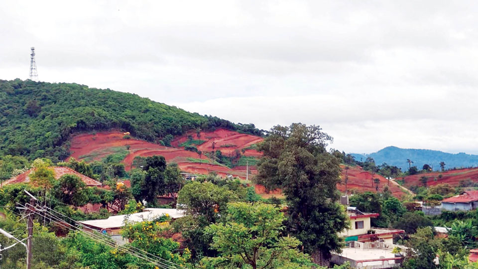 Hilly terrain altered, trees cut in Madikeri Red Zone