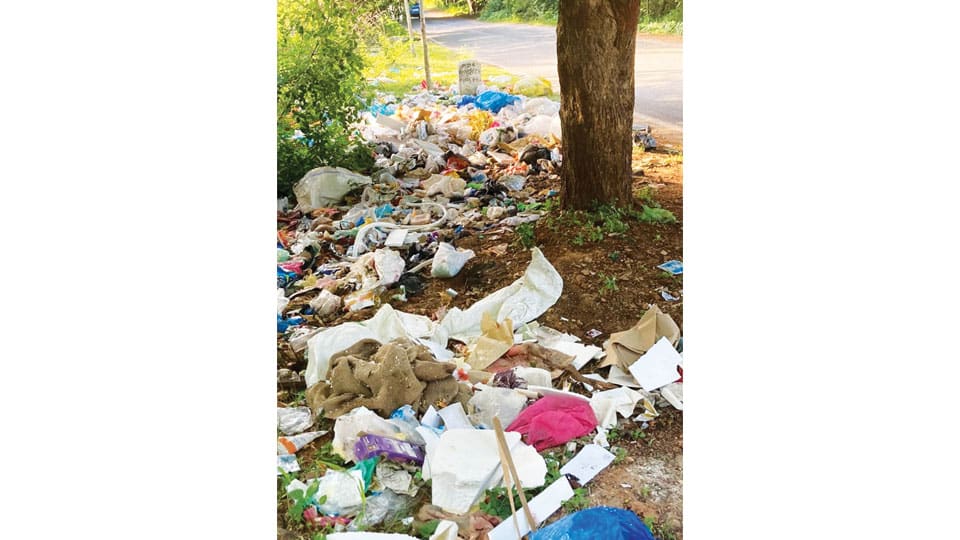 Garbage on Lalithadripura Road irks daily walkers