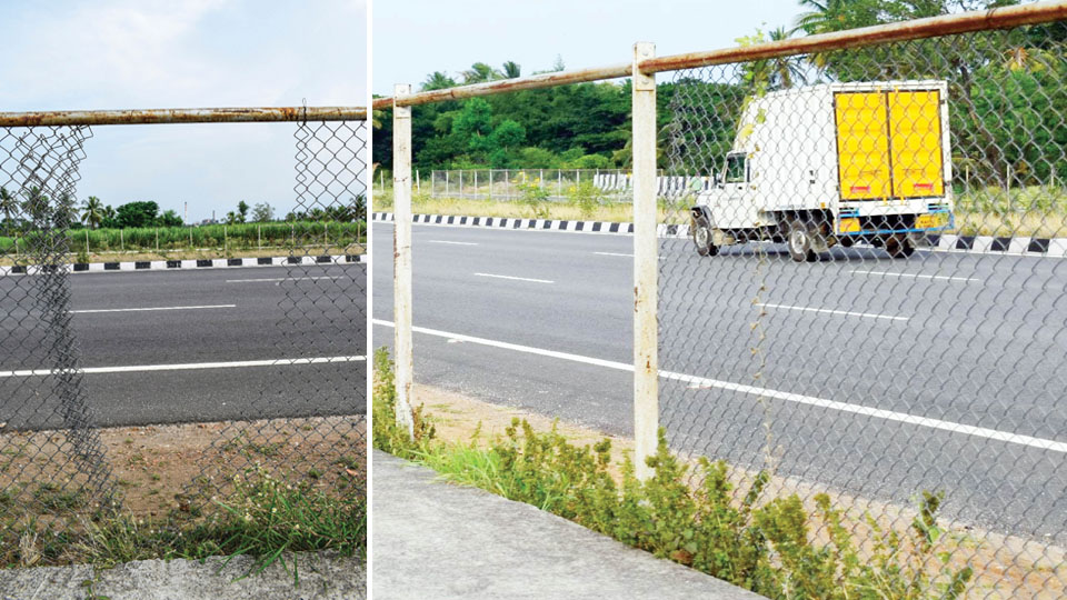 New menace on Mysuru-Bengaluru Expressway: Fencing vandalised, stolen