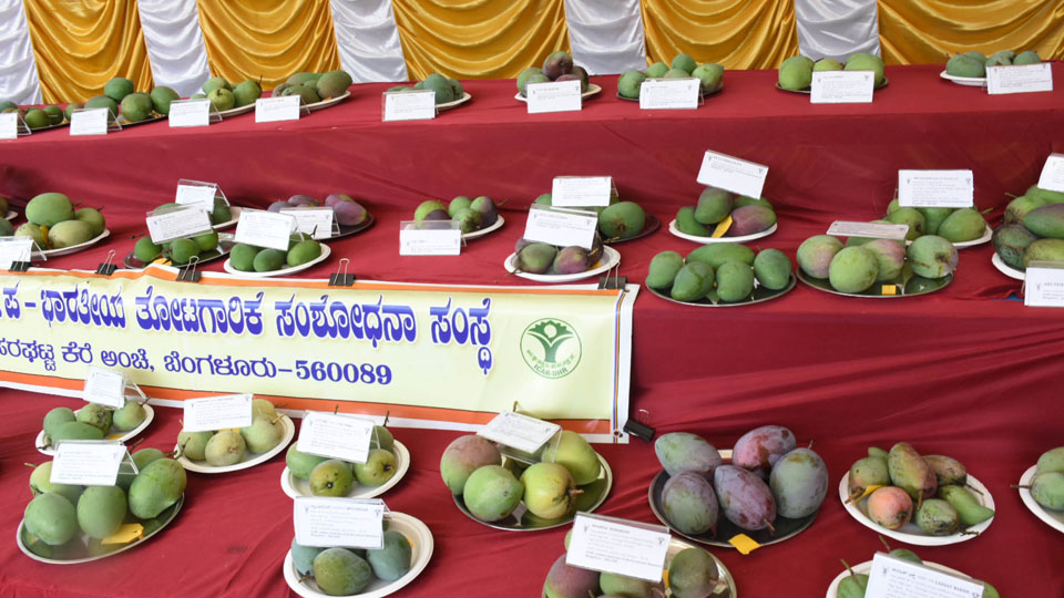 Mango Mela-2023 at Kuppanna Park: 98-tonne fruits sold, netting Rs. 80 lakh