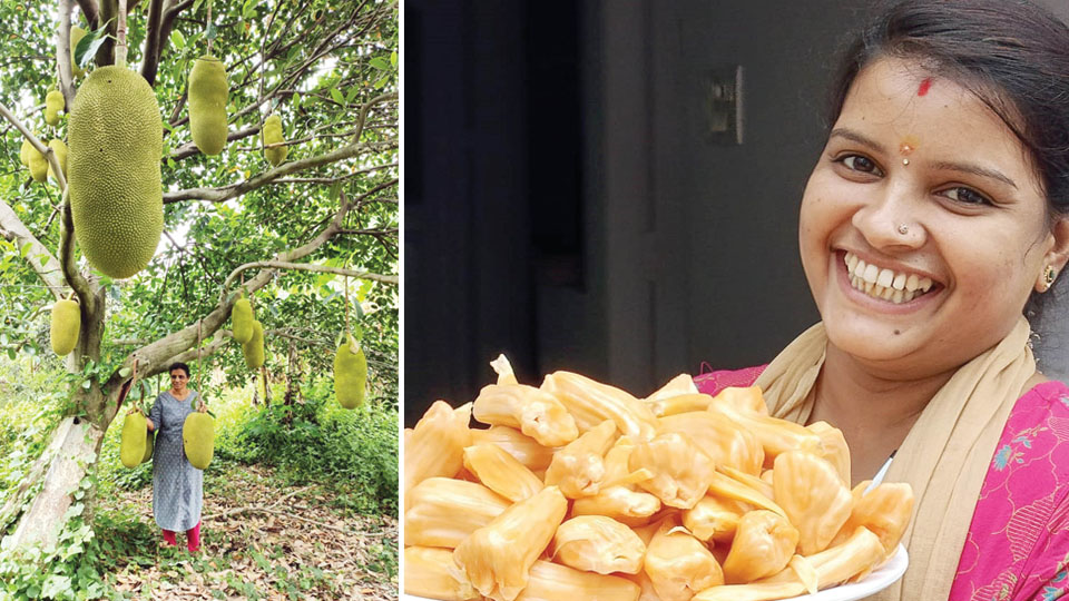 Jackfruit Festival in city on June 24 and 25