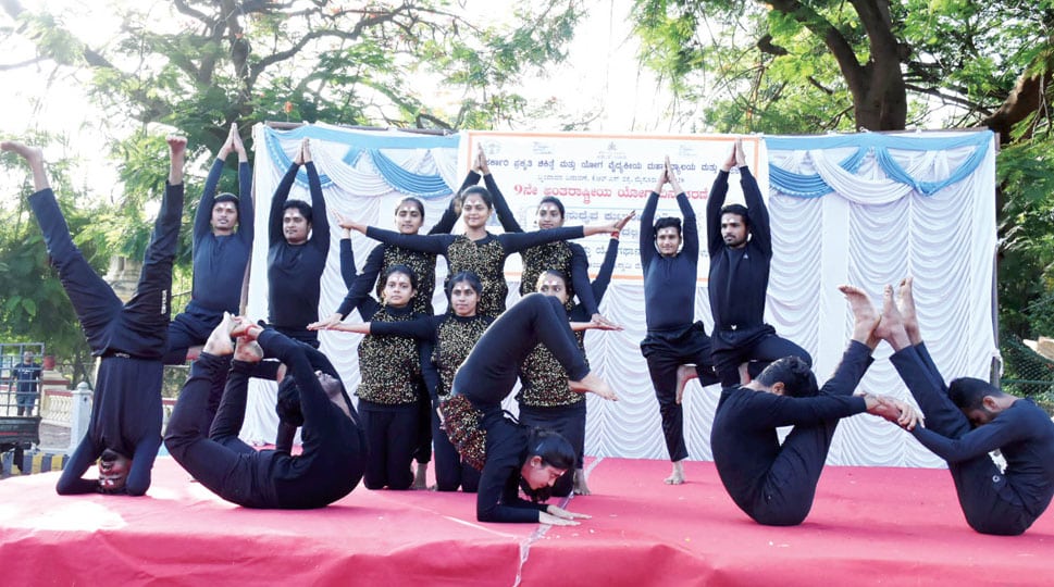 Over 400 students take part in Yoga Darshana, Yogathon