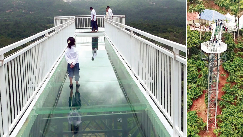Glass bridge in Kodagu offers thrilling encounter with nature