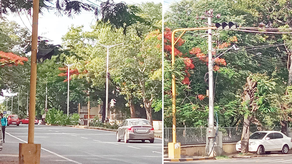 Repair signal lights at Javagal Srinath Circle soon