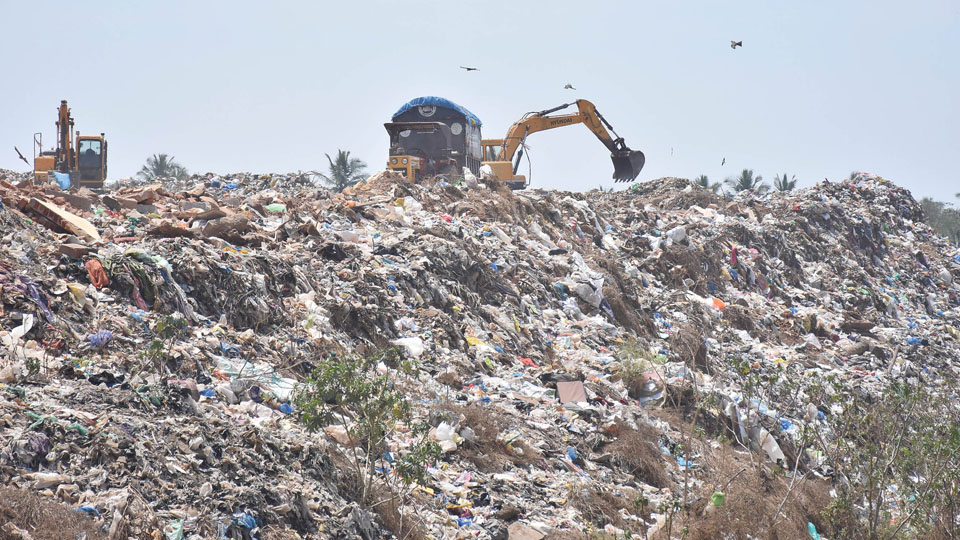 Tenders called to clear solid waste deposit at Sewage Farm