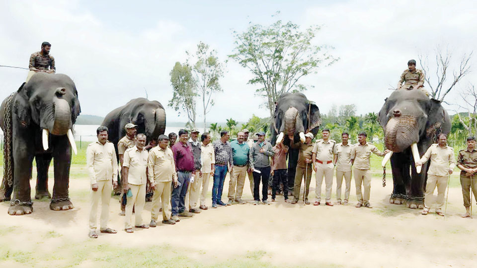 New faces likely in Dasara elephant list