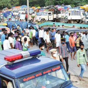 Ever-increasing menace of stray cattle on M.G. Road