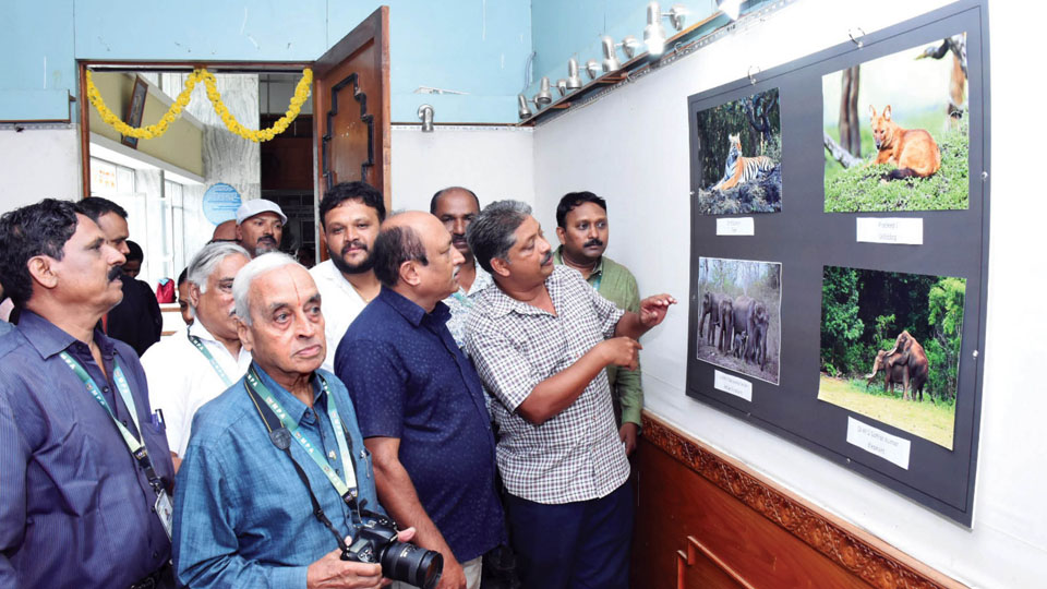 World Photography Day celebrated in city | Photos convey more than a report: MLA