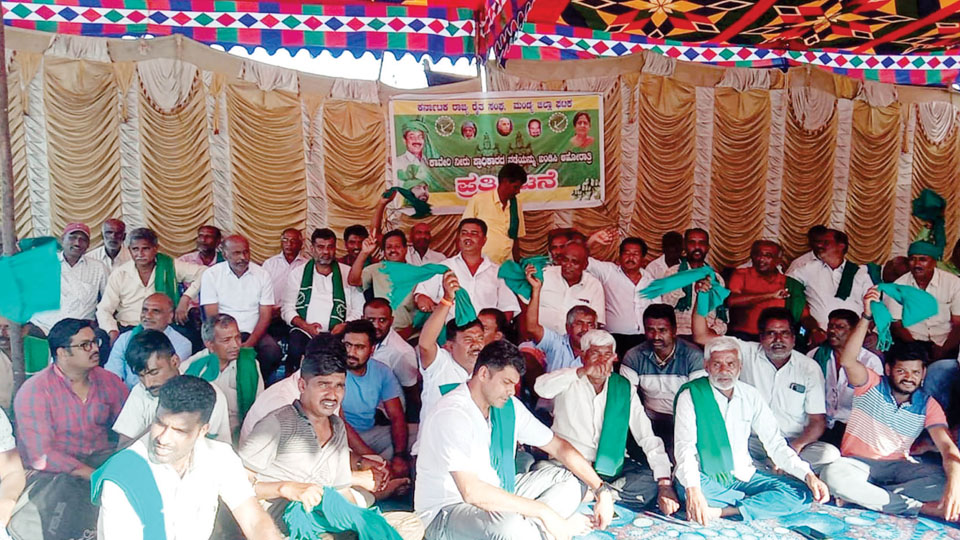 Protests over Cauvery heat up in Mandya