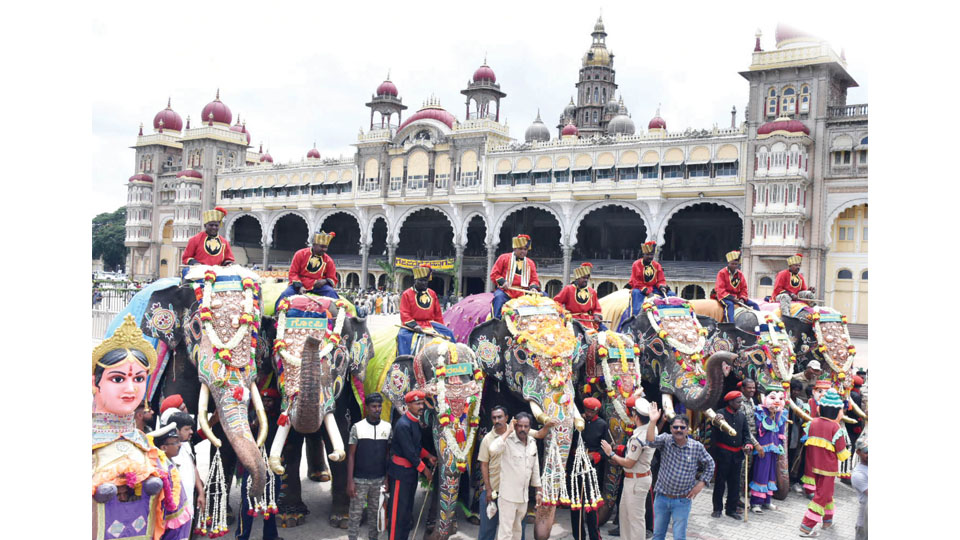 Dasara Elephants accorded traditional welcome at Palace