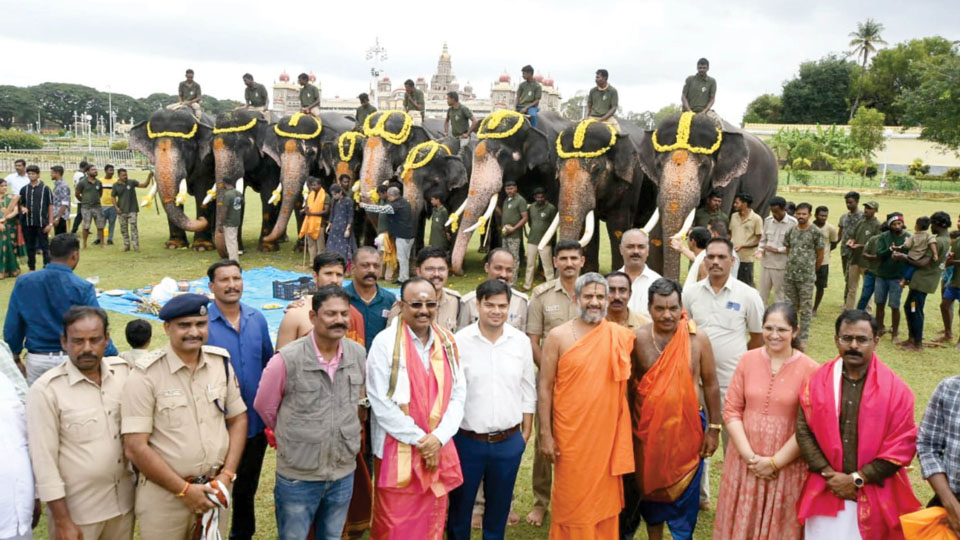 Dasara jumbos offered Gaja Puja on Ganesha fest