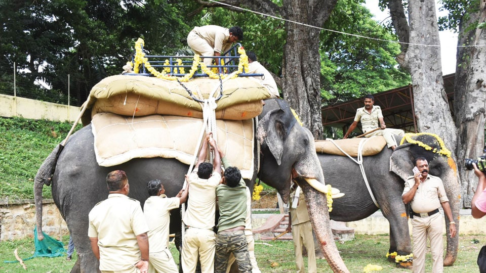 Abhimanyu begins weight training on Jumboo Savari route effortlessly