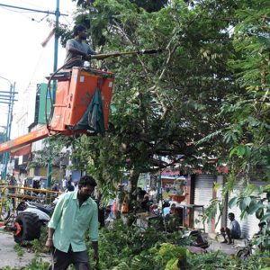 MCC’s ‘Shaktiman’ prunes tree branches on Jumboo Savari route