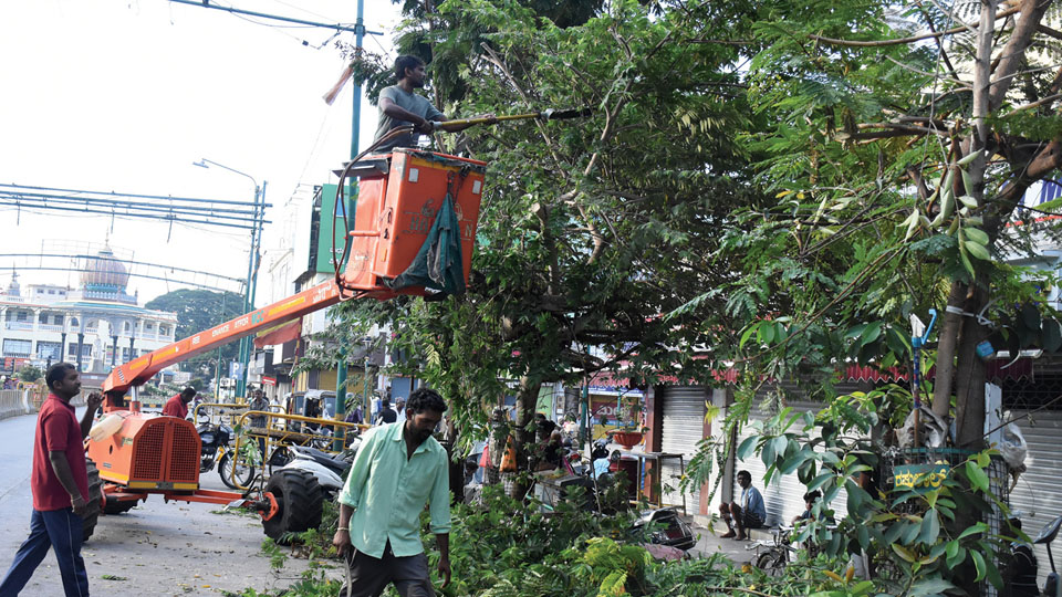 MCC’s ‘Shaktiman’ prunes tree branches on Jumboo Savari route