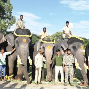 Gajapayana from Veeranahosahalli on Aug. 21