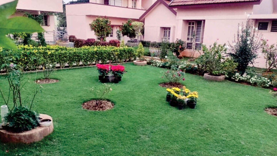 Dasara Garden Contest: Pejawar Sridhama’s Old Age Home bags first prize