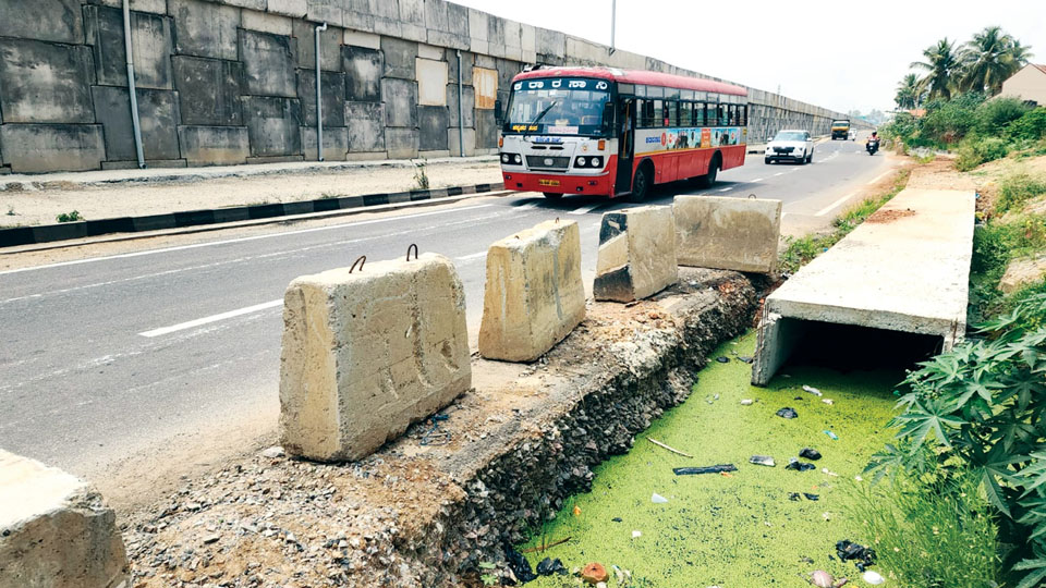Mysuru-Bengaluru Expressway needs rectification: Mandya DC