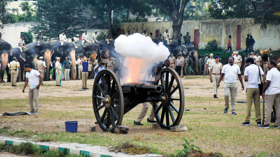 Cannon firing drill for Dasara Jumbos Abhimanyu and team begins