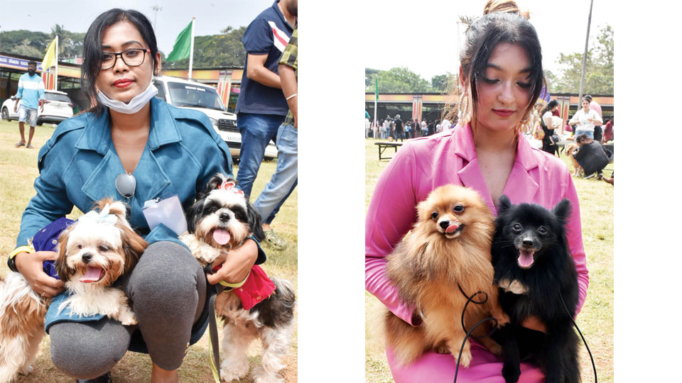 Bow-wow echoes at JK Grounds