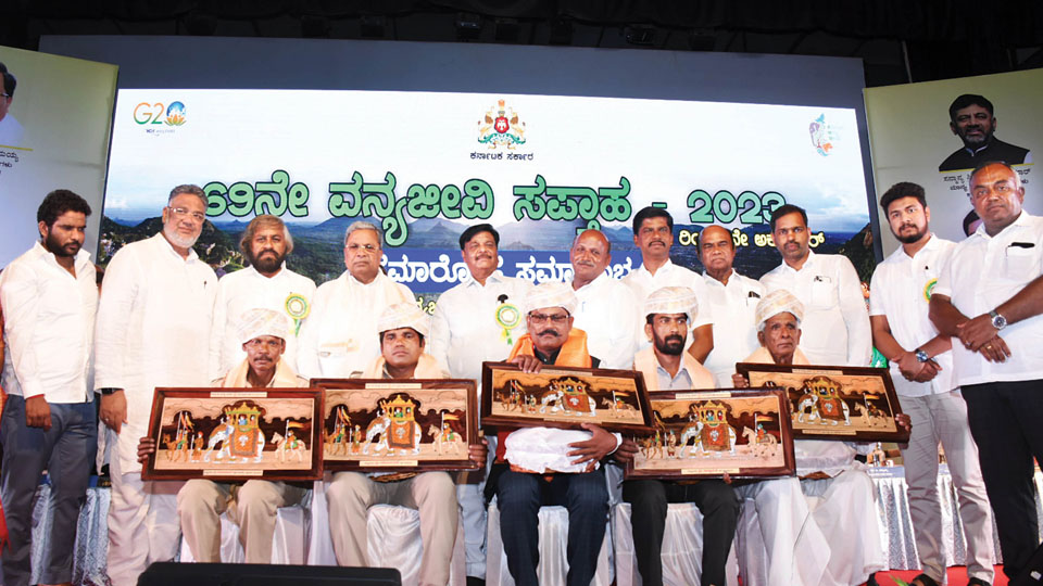 Increase Karnataka’s forest cover to 33%: CM