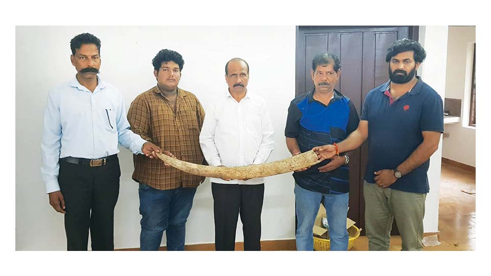 Attempt to sell elephant tusk: Six persons arrested in Kerala