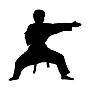 Two-day National Karate Championship from tomorrow