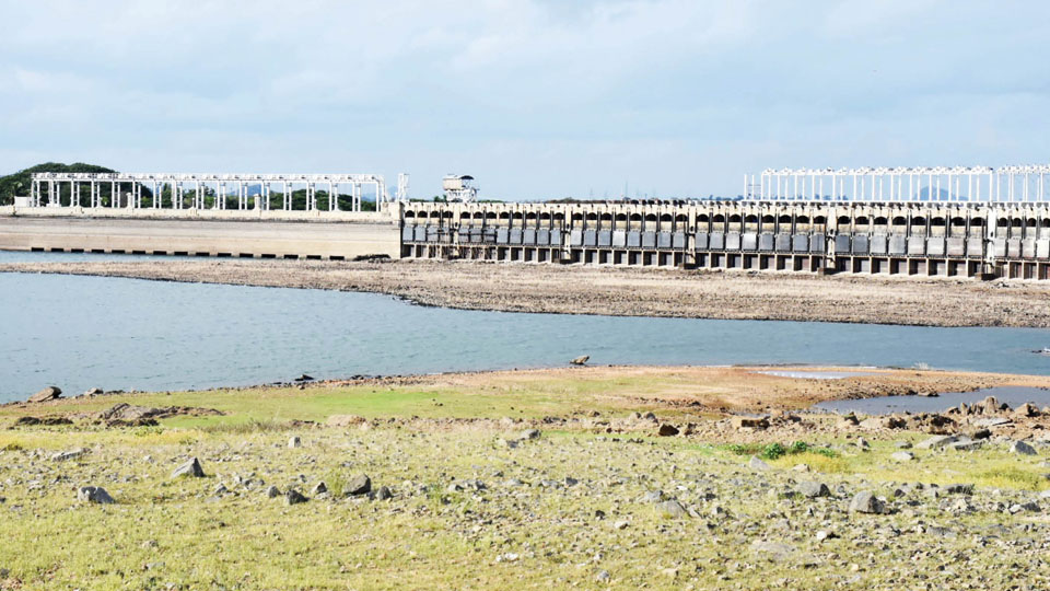 Storage in Cauvery Basin dams dips below half gross capacity