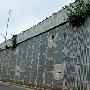 Over 90 peepal tree plants grow on city’s first flyover at Hinkal