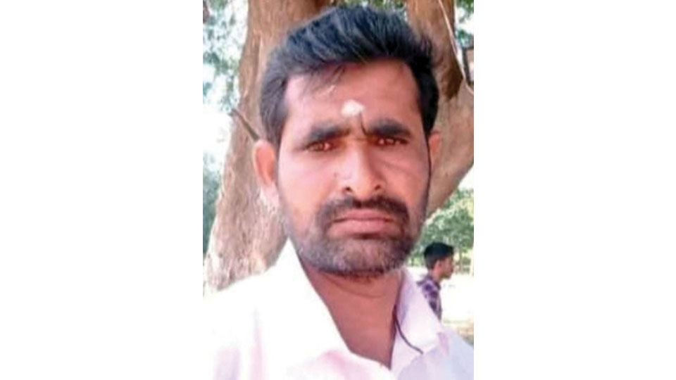 Farmer killed in tiger attack at Saragur
