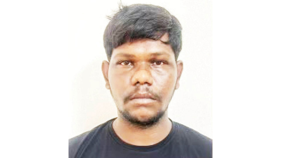 Senior Geologist Prathima murder case: Accused in Police custody till Nov. 15