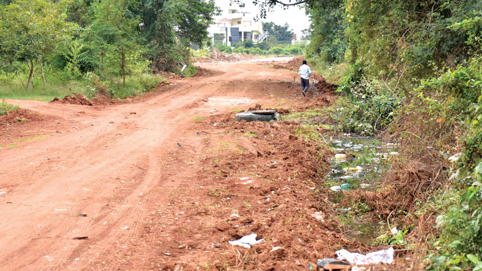 MUDA faces backlash for road construction on Poornaiah Canal