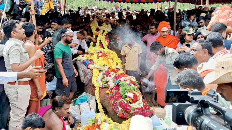 Thousands bid tearful adieu to beloved Arjuna