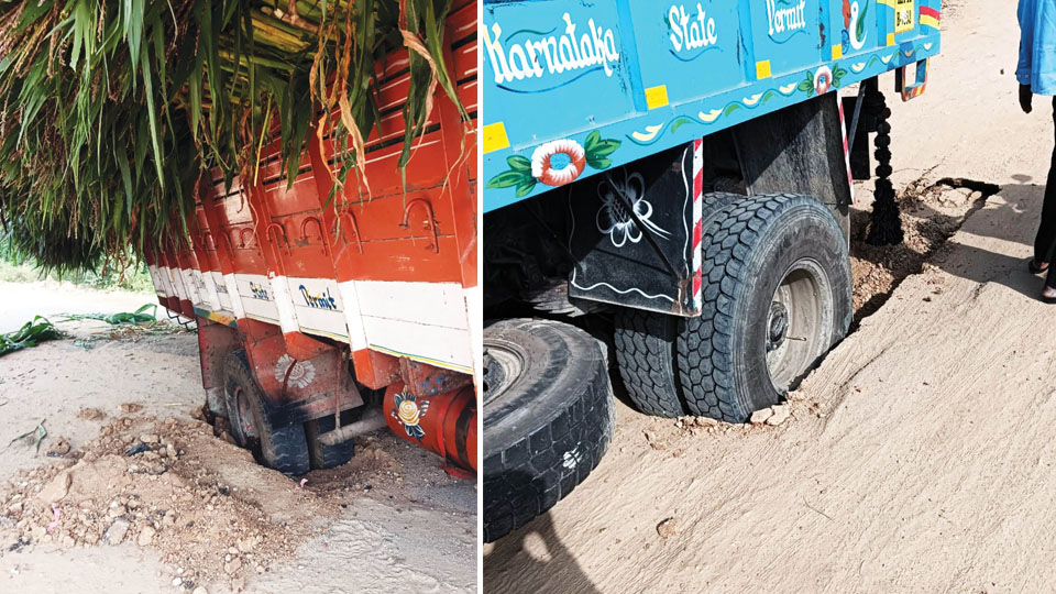 An example for shoddy work: Trucks get stuck in middle of road