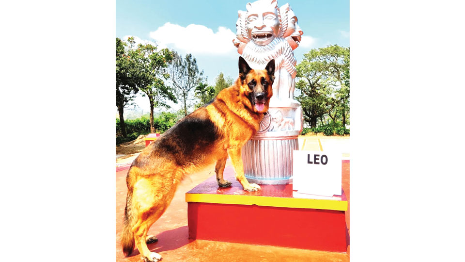 ‘Leo,’ the crime detection dog of Kodagu District Police passes away