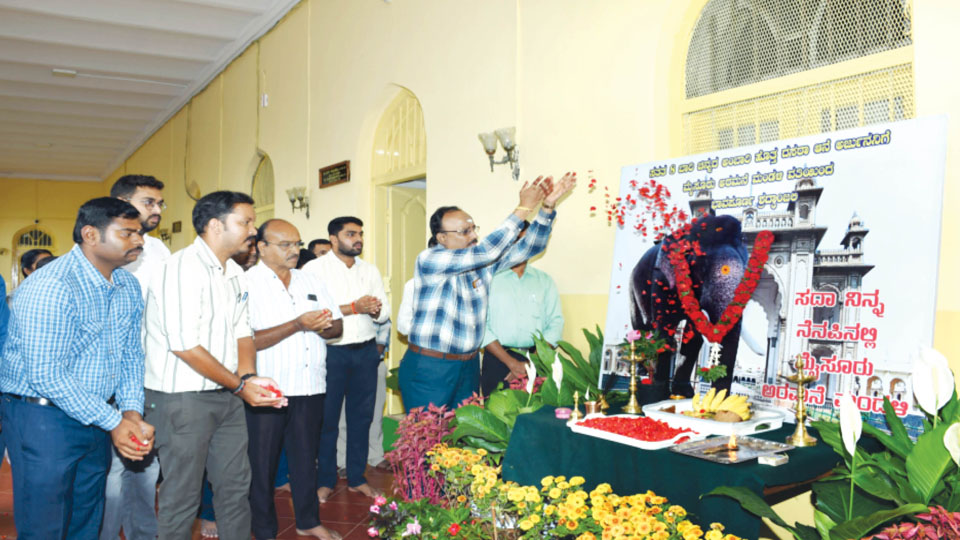 Mysore Palace Board mourns tragic death of jumbo