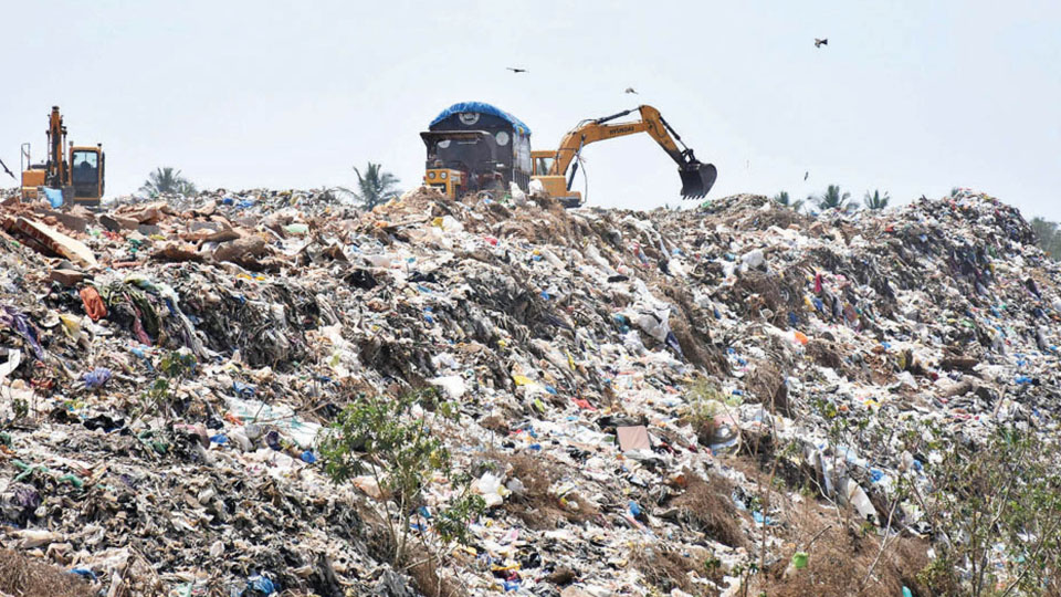 Seven lakh tonne solid waste at Sewage Farm: Fresh momentum to clear waste as tender process resumes