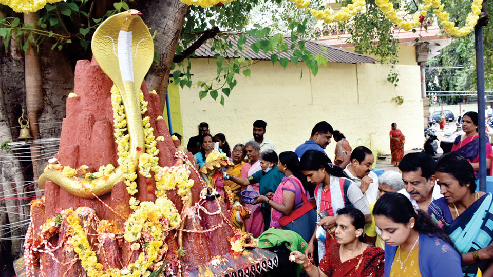 Subramanyeshwara Shasti celebrated