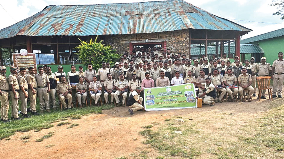 Staff geared up to save Bandipur’s biodiversity in forest fire months